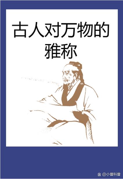 银汉的寓意和象征游戏截图