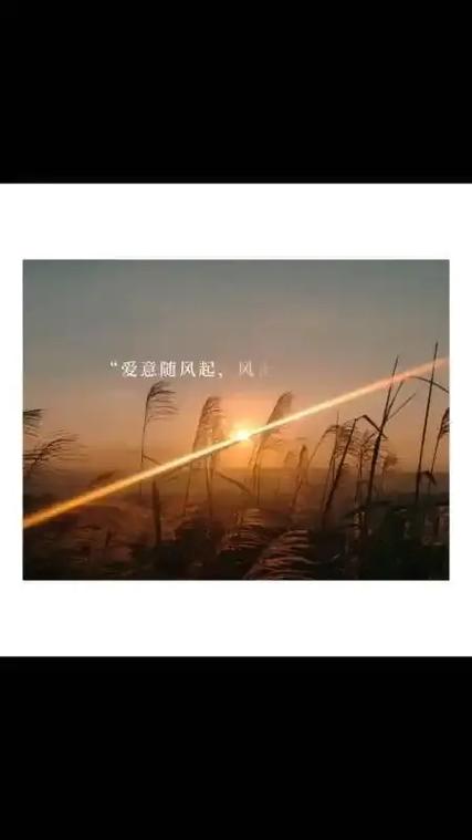 《爱意随风起.风止意难平》