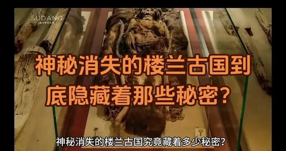 照片为什么会突然消失