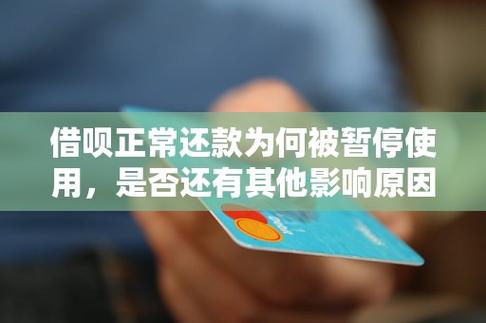 银行可以申请暂停还款吗