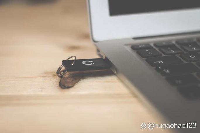 u盘显示有东西但是打开是空的