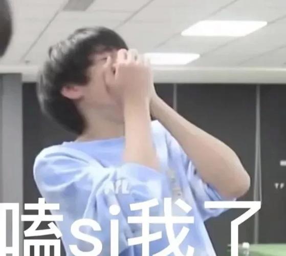 TF家族三代搞笑日常图标