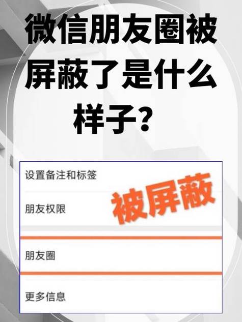 发了一条朋友圈屏蔽了朋友