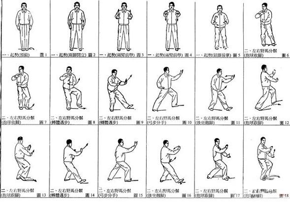 陈式太极拳24式全套图标