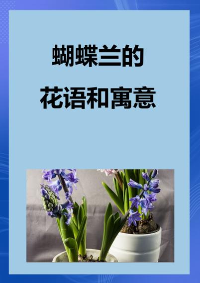 小雏菊是凶花还是吉花缩略图