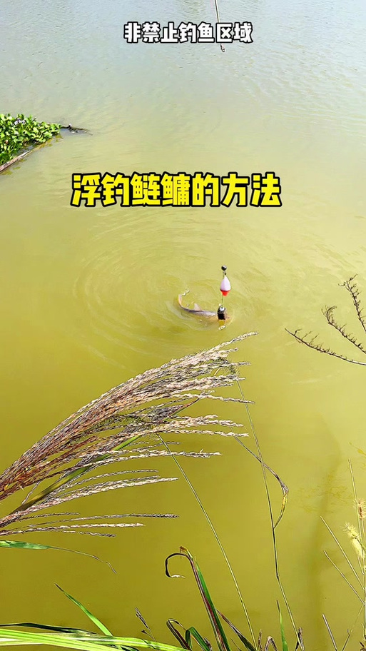 钓浮方法图解大全图标