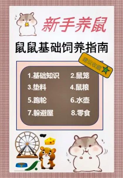 现在可以养仓鼠吗缩略图