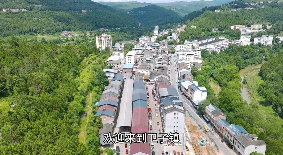 诱拐诚镇游戏下载截图