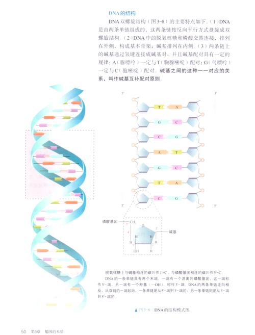 DNA里的历史应用宝截图
