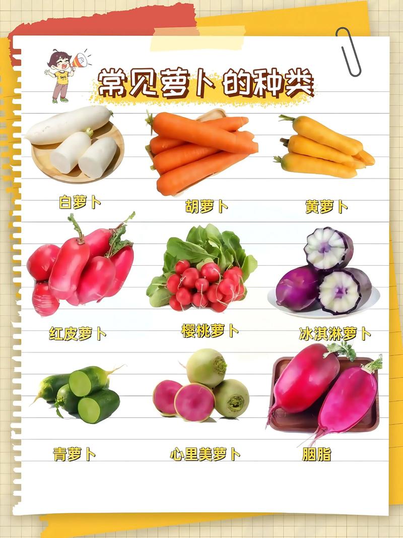 保卫萝卜2图鉴永不升级版游戏截图