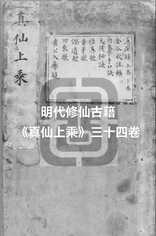 了不起的修仙模拟器无上功法有哪些截图