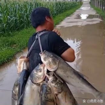 153条大鱼的属灵含义图标