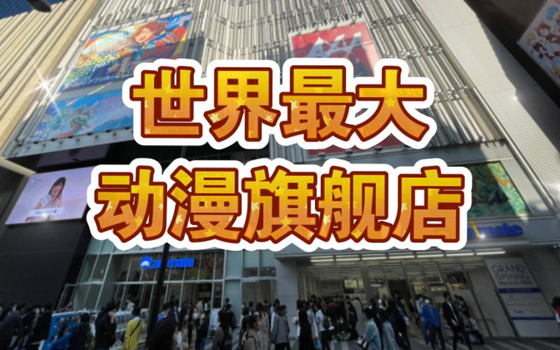 animate官方旗舰店图标