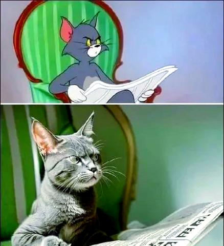 猫和老鼠汤姆表情包