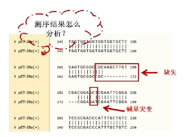 电脑屏幕突然变窄了,是什么情况缩略图