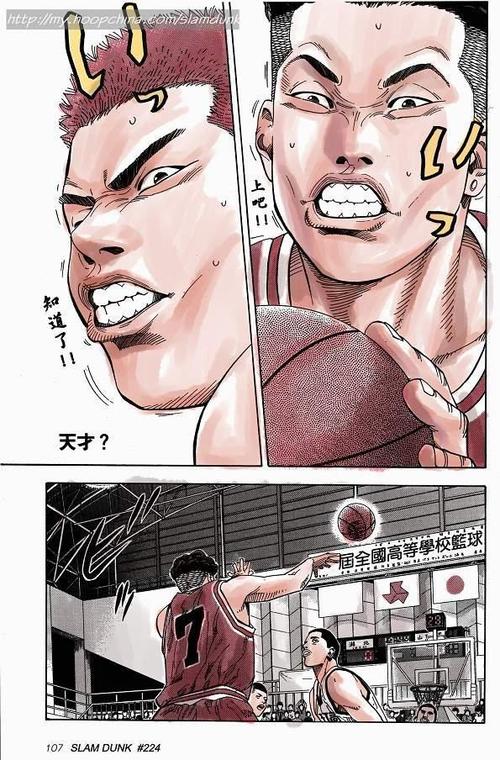 灌篮高手漫画全彩版pdf图标