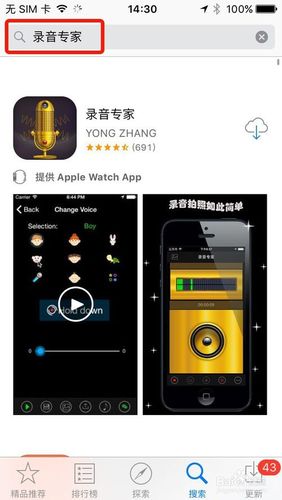 苹果可以通话录音吗