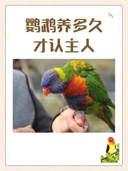 鹦鹉鱼多久认主人游戏截图