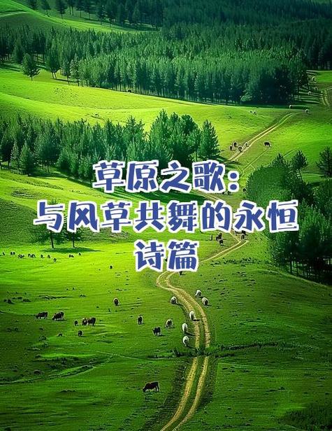 草原我心中歌原唱天边缩略图