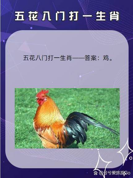 100%正确答案生肖
