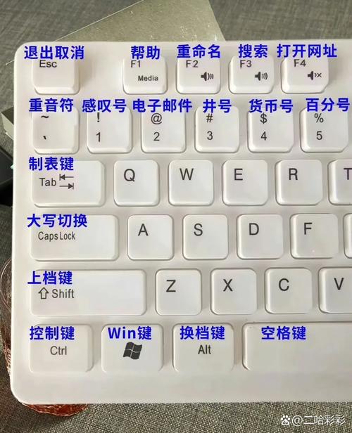键盘不能打中文是什么原因截图