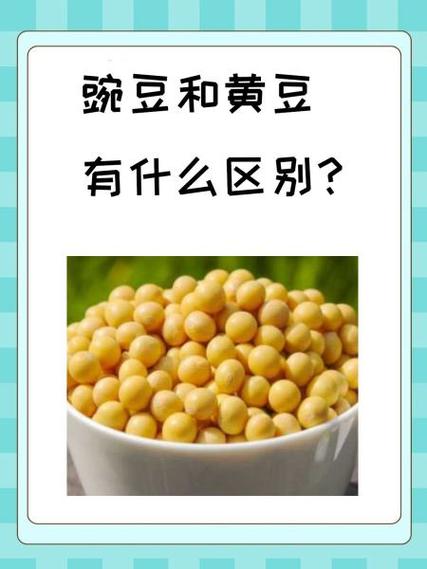 怎么区分豌豆和黄豆截图