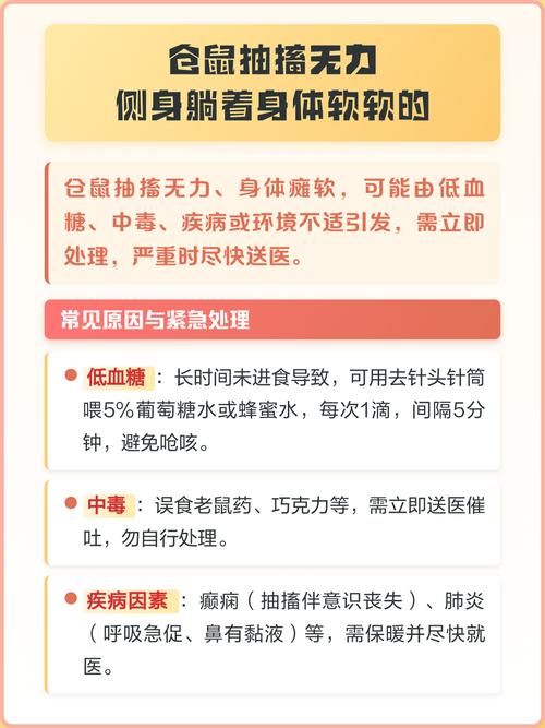 仓鼠四肢抽搐侧躺截图