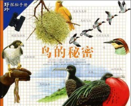 拿走小鸟母鸟会伤心吗截图
