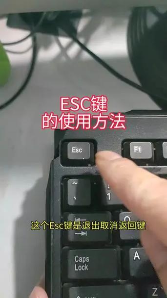 电脑上esc键一直亮是什么原因截图