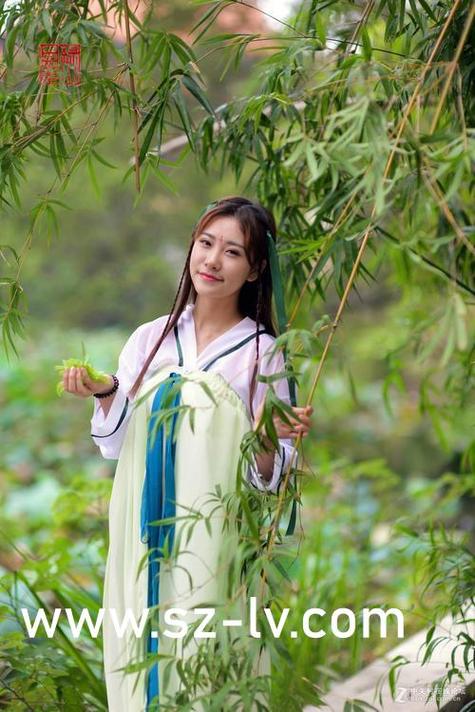 水管工传说桃子移植缩略图