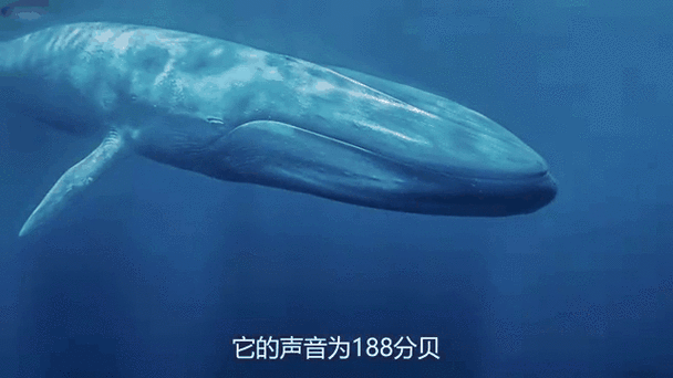 语音播报软件截图