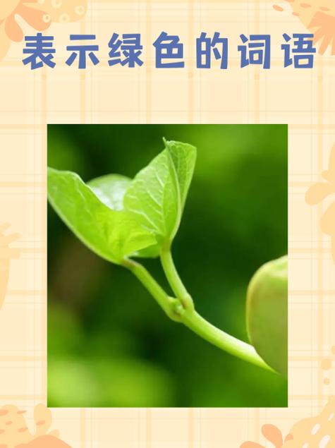 绿色的拼音截图