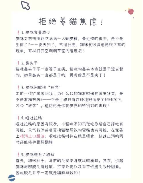 猫磨蹭你的腿意味着什么图标
