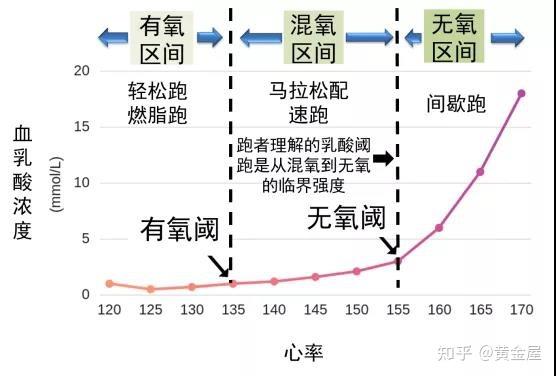 无氧和有氧哪个抗衰老截图