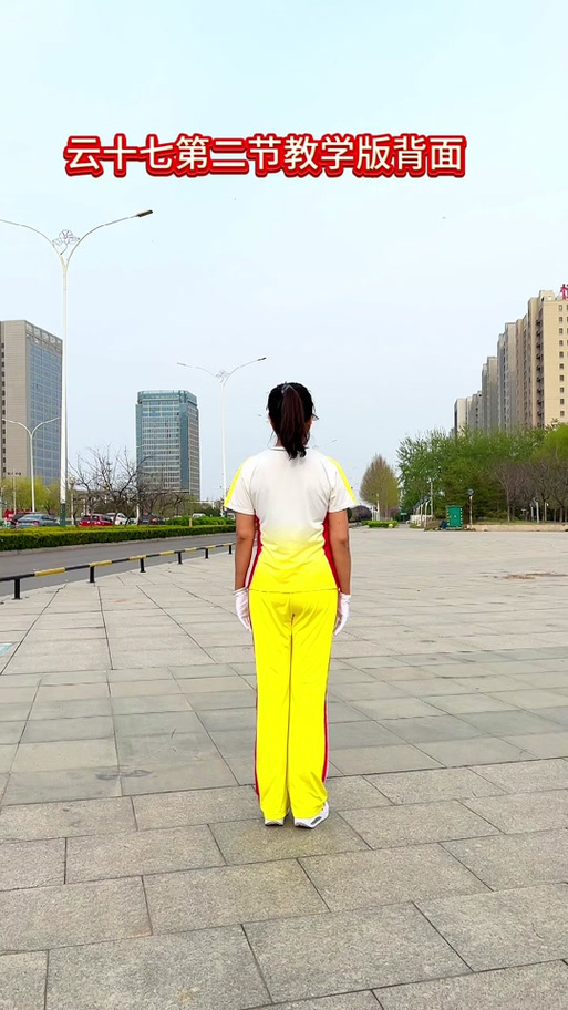 云朵王七套分解动作全套演练截图