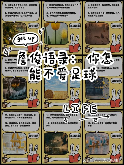 球球语聊官网截图