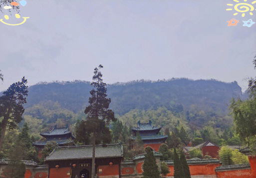 武当山60岁老人免票政策图标