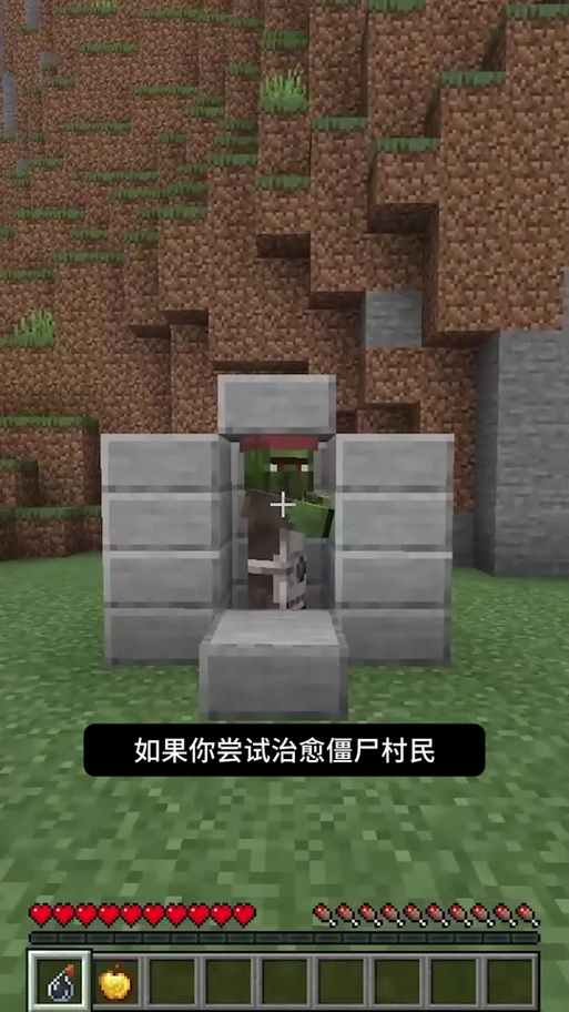 我的世界怎么治愈村民