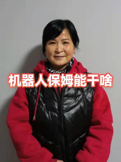 家务安卓v13汉化版下载缩略图