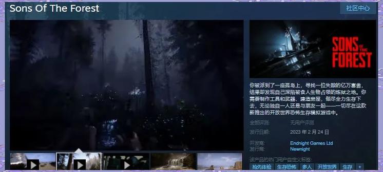 STEAM森林多少钱截图