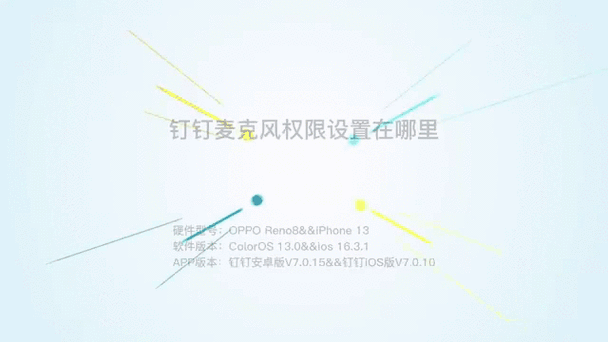 钉钉相机权限如何设置截图