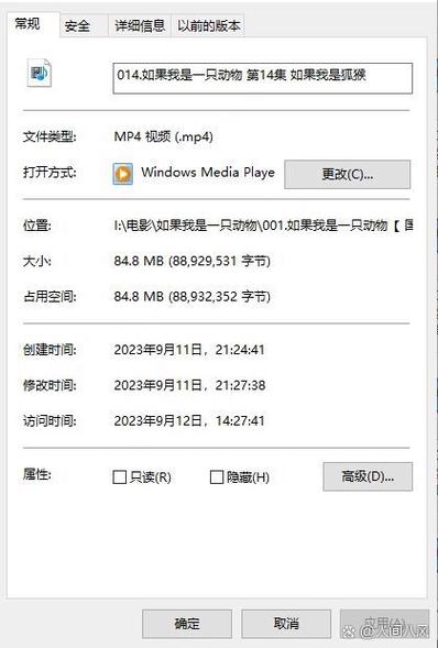 mp4下载的视频为什么打不开截图