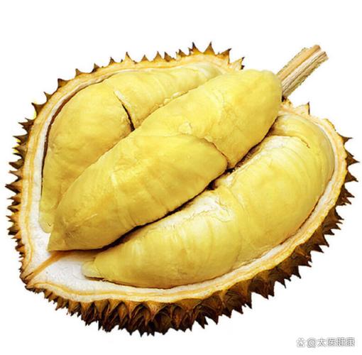 榴莲最经典十句话图标