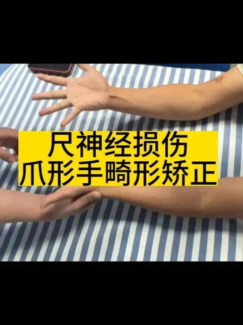 龙爪虎爪鹰爪外形区别