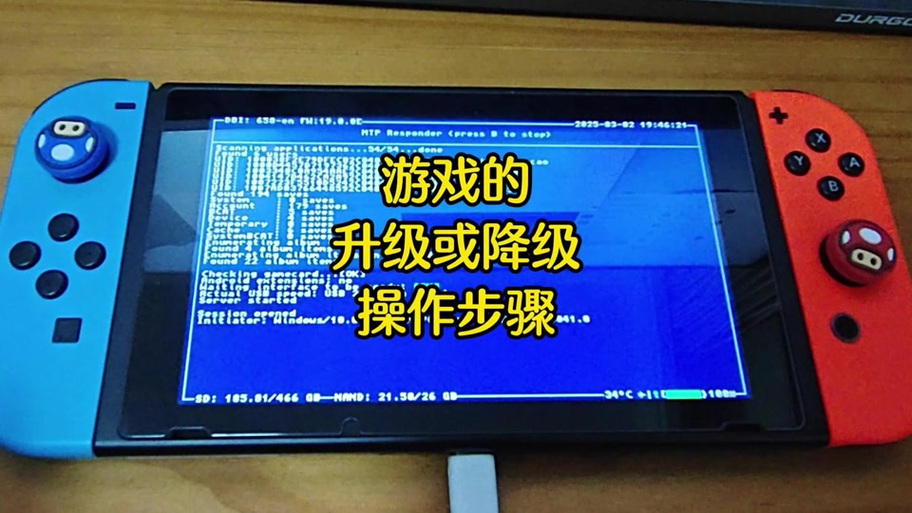 switch破解版汉化补丁怎么安装游戏截图