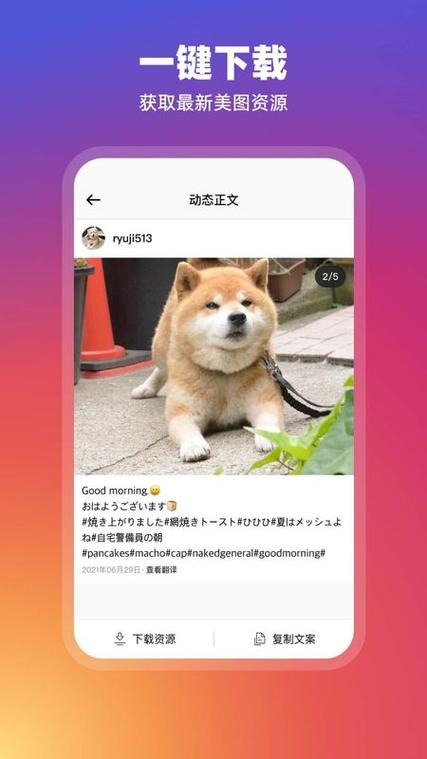 instagram官方下载最新版本缩略图