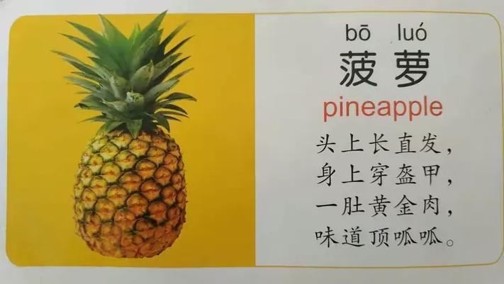 菠萝儿歌童谣