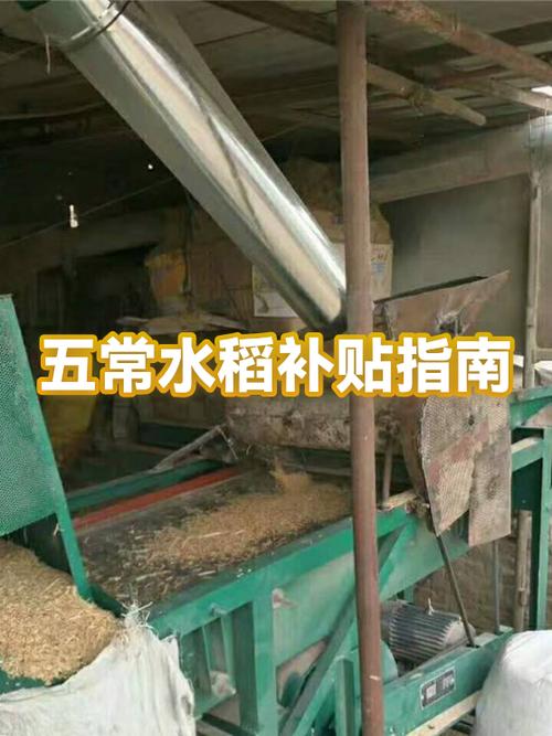 农业补贴查询入口截图