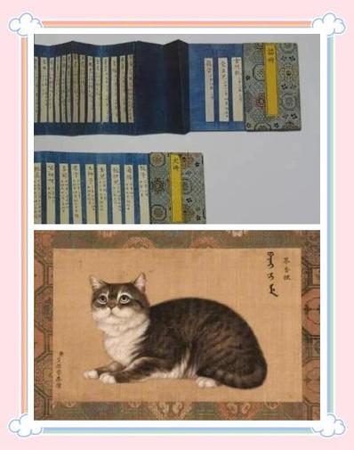 御猫啥意思缩略图