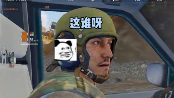 小鲨鱼暗区突围下载